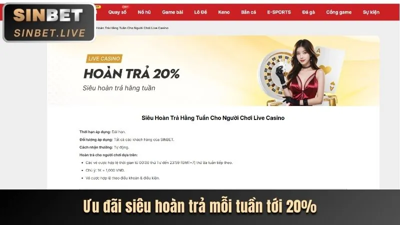 Tổng quan nền tảng shbet999 và lợi ích